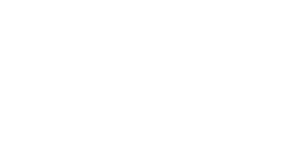 Diligent Defense Co Logo